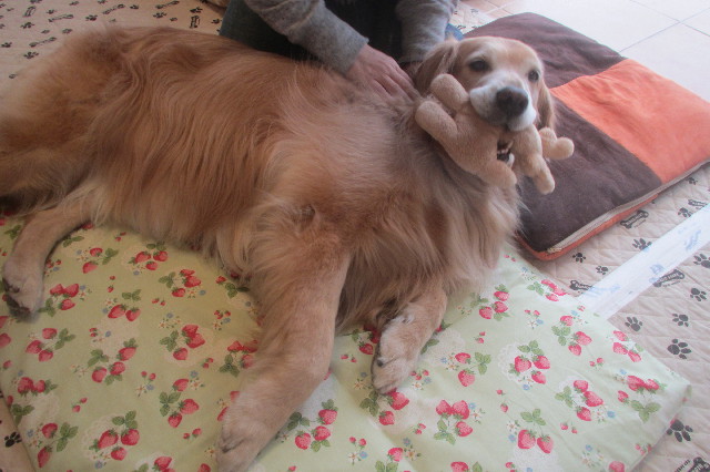 ファイル 3567-1.jpg