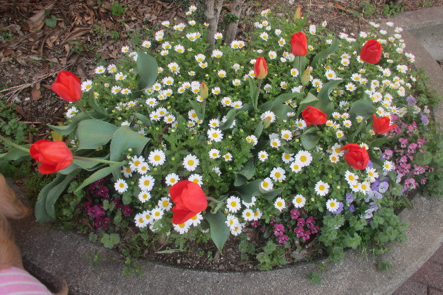 ファイル 3568-1.jpg