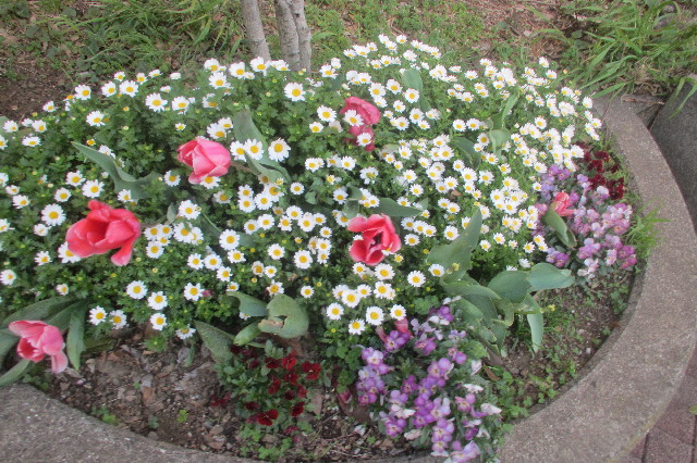 ファイル 3568-5.jpg