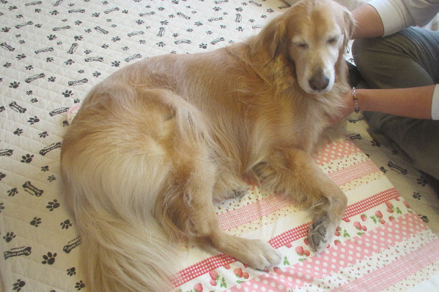 ファイル 3569-1.jpg