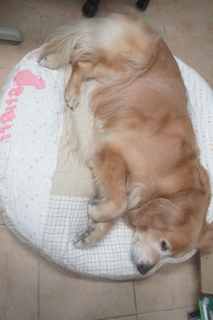 ファイル 3569-2.jpg