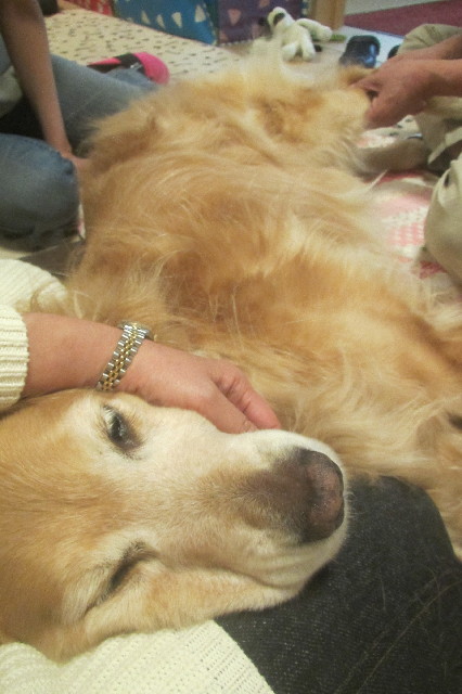 ファイル 3569-3.jpg