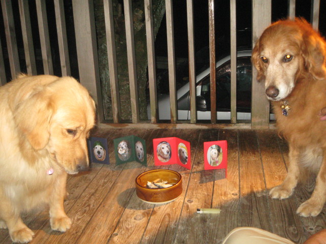 ファイル 357-1.jpg