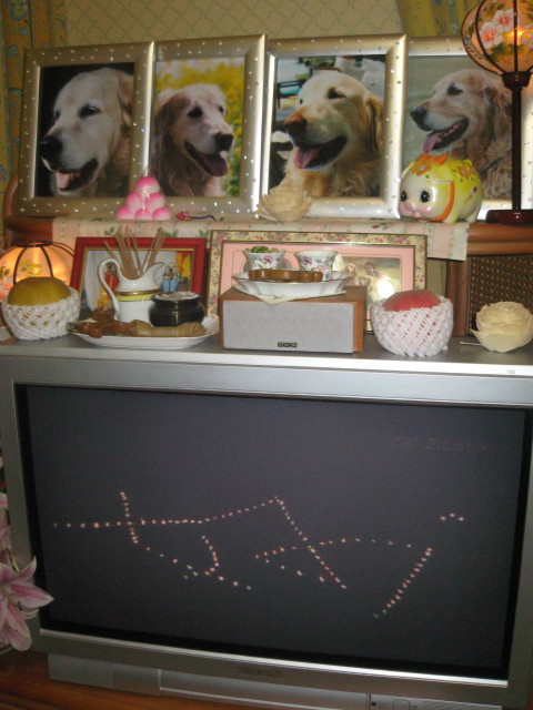 ファイル 357-2.jpg