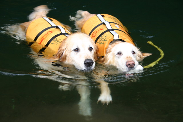 ファイル 357-4.jpg