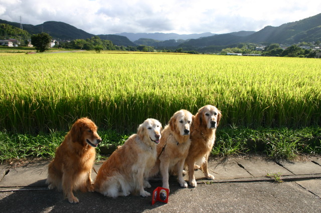 ファイル 357-5.jpg