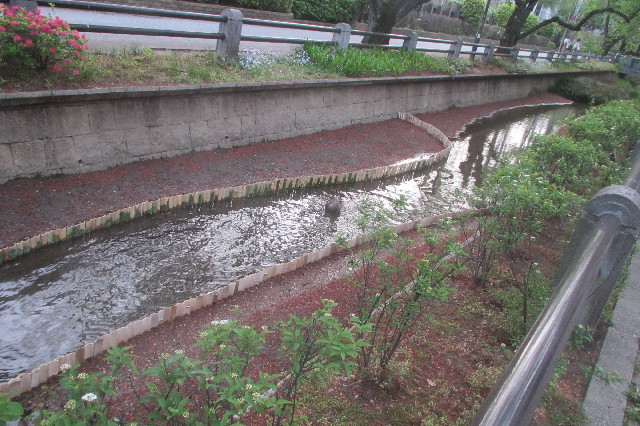 ファイル 3572-3.jpg