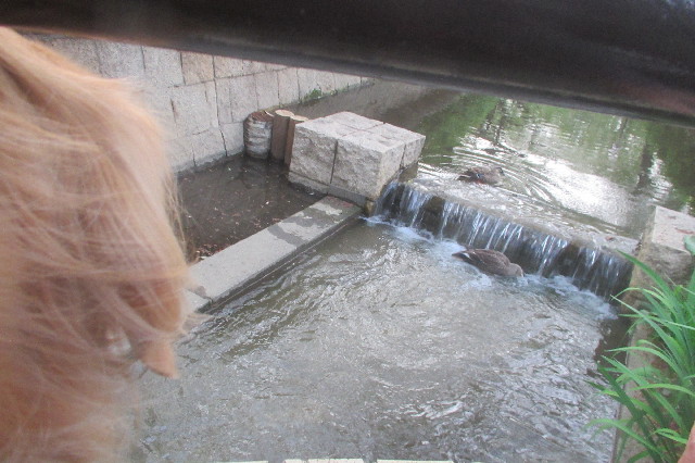 ファイル 3572-4.jpg