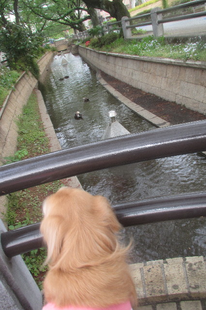 ファイル 3572-5.jpg