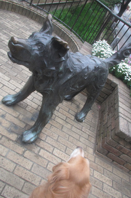 ファイル 3574-4.jpg