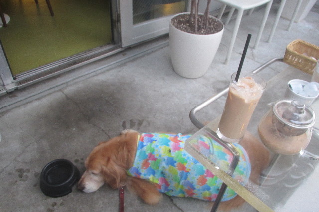 ファイル 3574-5.jpg