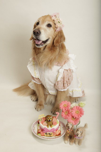 ファイル 3575-2.jpg