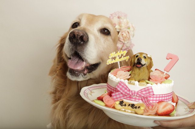 ファイル 3575-3.jpg