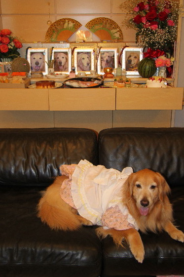 ファイル 3576-4.jpg