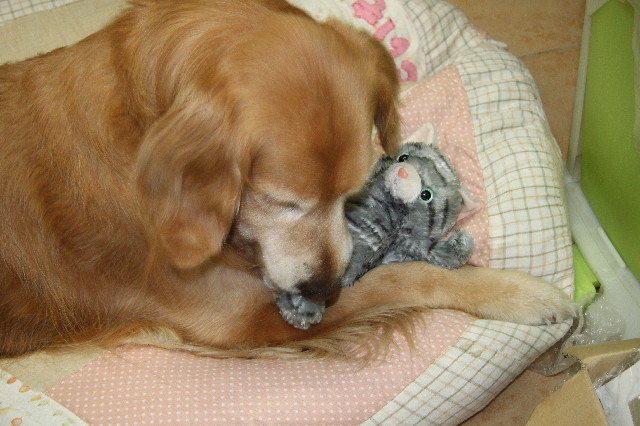 ファイル 3577-2.jpg