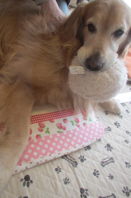 ファイル 3578-1.jpg