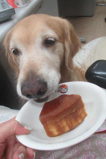 ファイル 3578-2.jpg