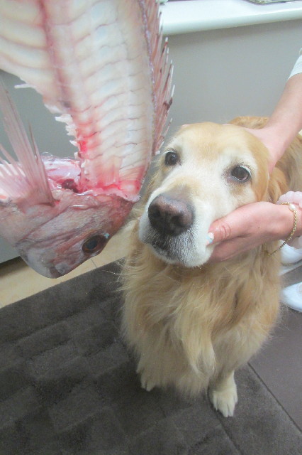 ファイル 3578-3.jpg