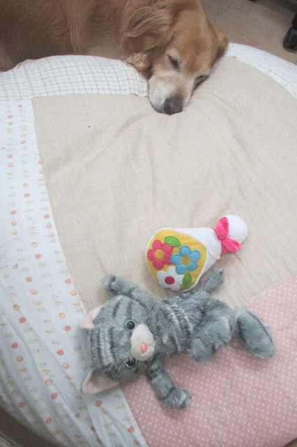 ファイル 3578-5.jpg