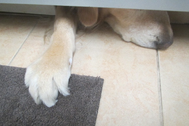 ファイル 3579-5.jpg