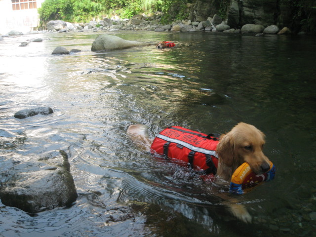 ファイル 358-1.jpg