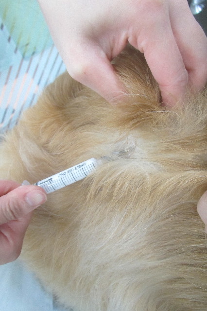 ファイル 3580-3.jpg