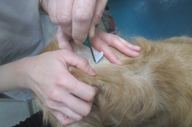 ファイル 3580-5.jpg