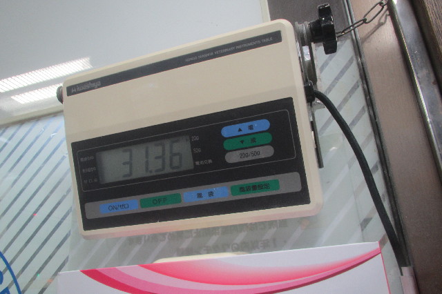 ファイル 3581-2.jpg