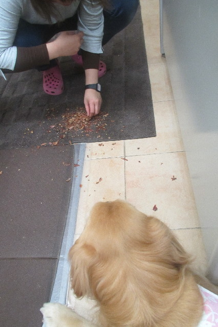 ファイル 3581-4.jpg