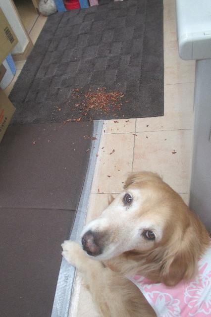 ファイル 3581-5.jpg