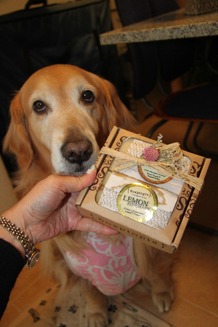 ファイル 3582-4.jpg