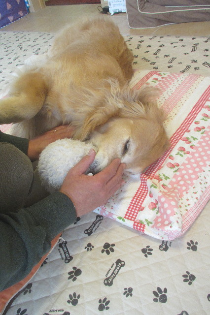 ファイル 3582-5.jpg