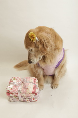 ファイル 3583-1.jpg