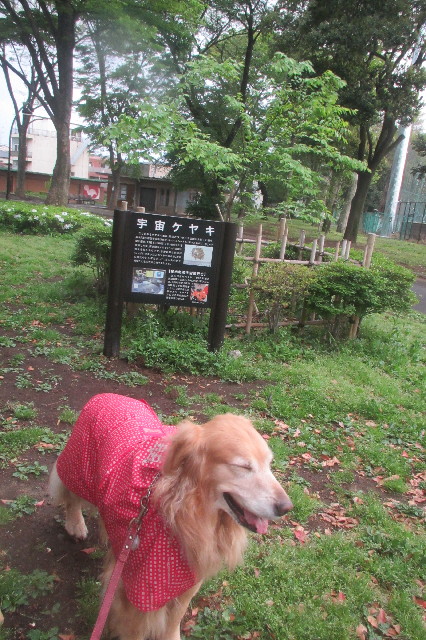 ファイル 3589-3.jpg