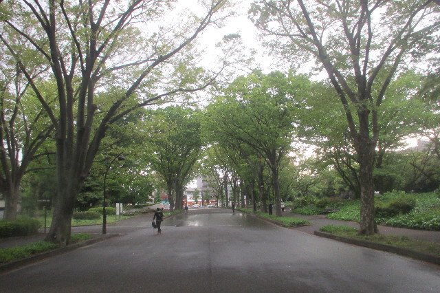 ファイル 3589-4.jpg