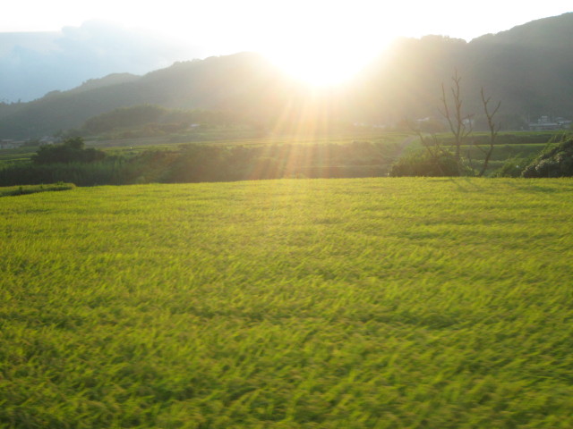 ファイル 359-2.jpg