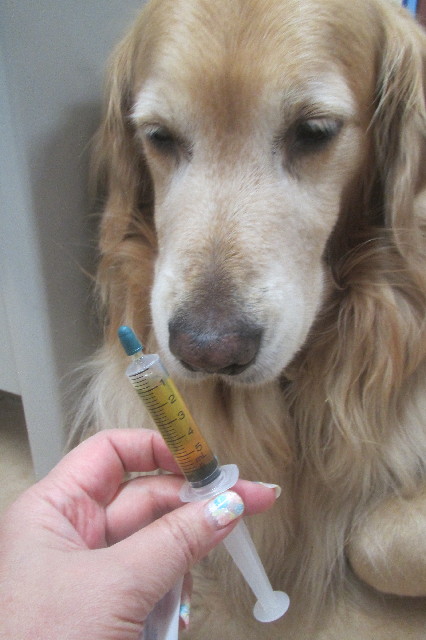 ファイル 3590-1.jpg