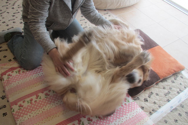 ファイル 3590-4.jpg