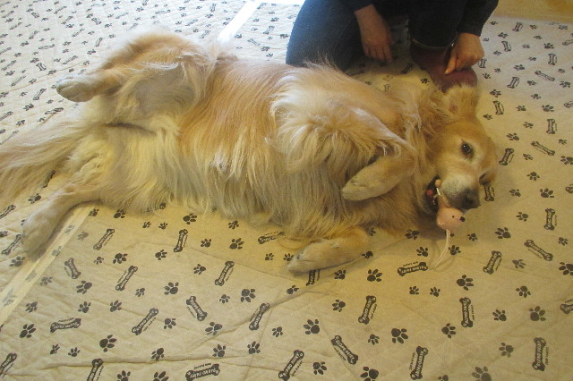 ファイル 3591-4.jpg