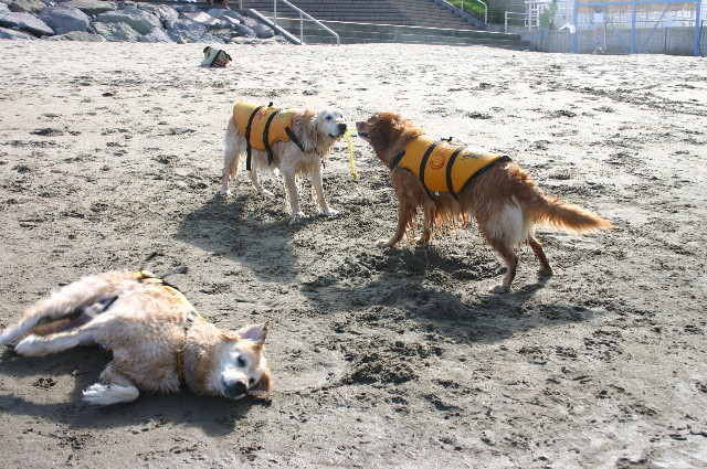 ファイル 3592-3.jpg