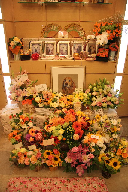 ファイル 3593-1.jpg