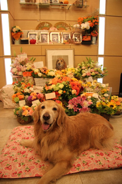 ファイル 3593-2.jpg