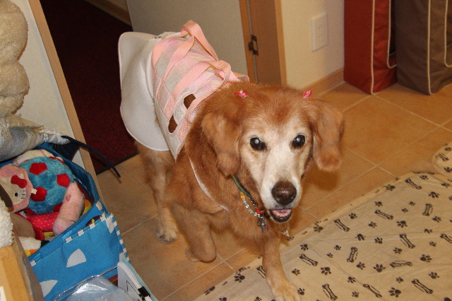 ファイル 3593-5.jpg