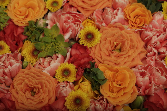 ファイル 3594-1.jpg