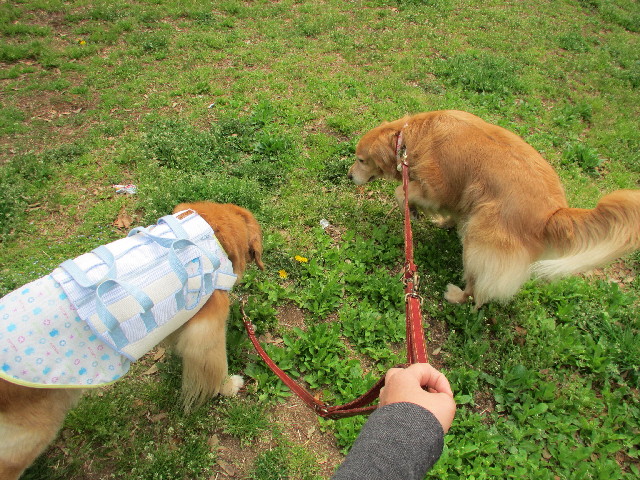 ファイル 3595-2.jpg