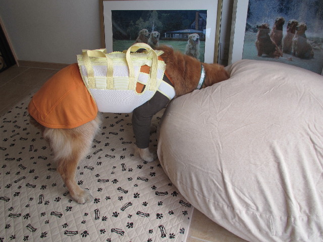 ファイル 3595-4.jpg