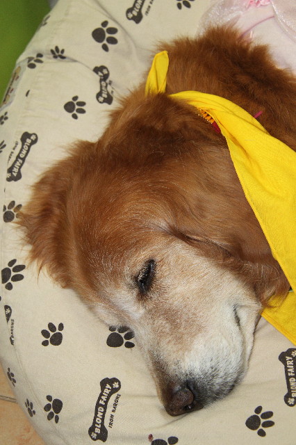 ファイル 3595-5.jpg