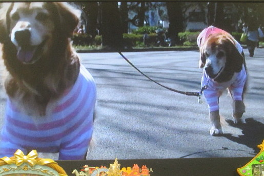 ファイル 3596-3.jpg