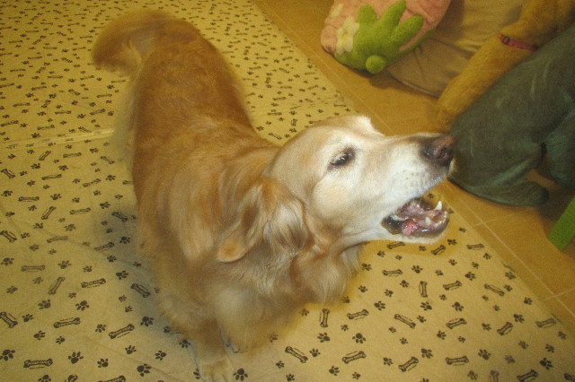 ファイル 3597-4.jpg