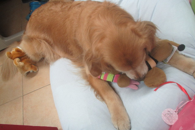 ファイル 3599-2.jpg